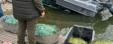 На Одещині браконьєри наловили риби на 389 тис грн