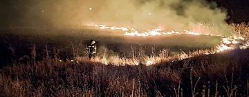 ДСНС покарала ще одного палія