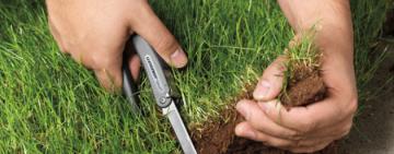 Самовільне захоплення землі на Ізмаїльщині: справу скеровано до суду