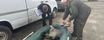 На Одещині браконьєр наловив риби на 350 тисяч гривень