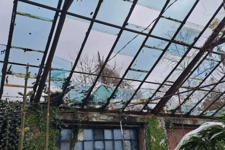 Одеський ботанічний сад постраждав під час останньої ракетної атаки