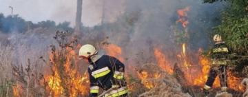 173 пожежі від спалювання сухої рослинності лише за березень - ДСНС