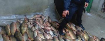 На Одещині викрито браконьєрів 