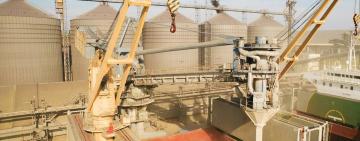 На Одещині БЕБ викрило експортера зерна у несплаті 4,2 млн грн податків 