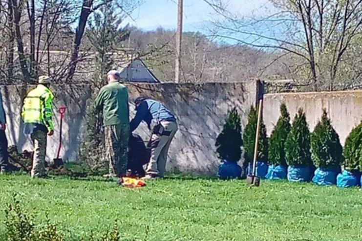 В Теплиці в рамках доброустрою прилеглих територій висадили зелені насадження