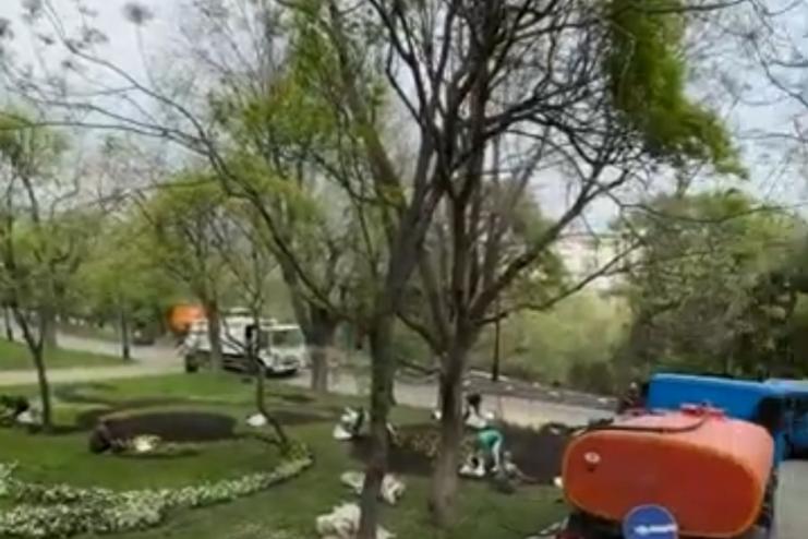 В Одесі з 20 квітня відкриють для відвідування Стамбульський та Грецький парки