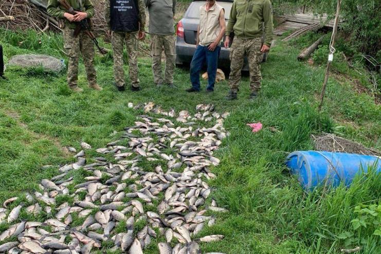 «Заробіток» на мільйон: на Одещині правоохоронці виявили браконьєра з уловом риби
