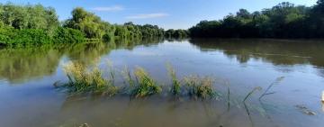 Через підвищення рівня води у Дністрі трасу Одеса-Рені може затопити