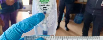 На Болградщині повідомили про підозру іноземцю в замаху на контрабанду наркотичного засобу