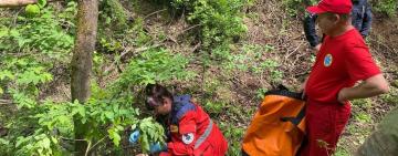 В Болградському районі літня жінка заблукала у лісі і впала в яр (відео)