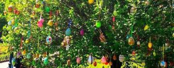 У Міськсаду в Одесі з'явилося справжнє Великоднє дерево