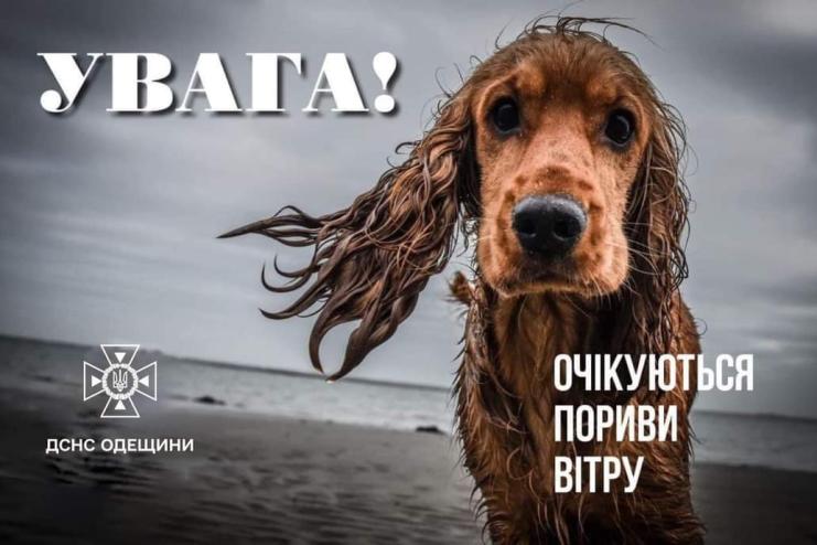 ДСНС попереджає про пориви вітру