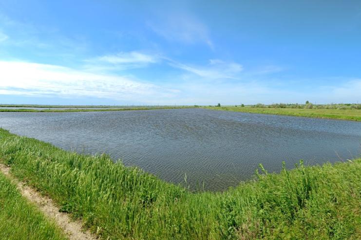 НА ОДЕЩИНИ РОЗПОЧАЛАСЬ ПОСІВНА КАМПАНІЯ «БІЛОГО ЗОЛОТА»