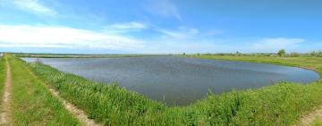 НА ОДЕЩИНИ РОЗПОЧАЛАСЬ ПОСІВНА КАМПАНІЯ «БІЛОГО ЗОЛОТА»