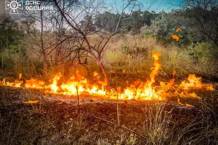 Вогнеборці закликають берегти природу від вогню