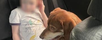 Патрульні врятували хлопчика, який загубився і ледь не потрапив під коліса вантажівки