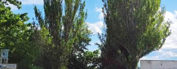 В Кілії відремонтують ділянку дороги, що веде до порту