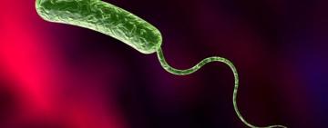 Медики розповіли про ризики виникнення холери в Одесі та області