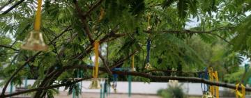  В Кілійській громаді вшанували пам'ять вбитих росією дітей