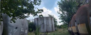 На Тарутинщині продають винзавод, що належав росіянам
