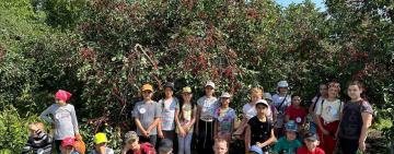  У Тарутинській і Бородінській громадах розпочали роботу пришкільні оздоровчі табори