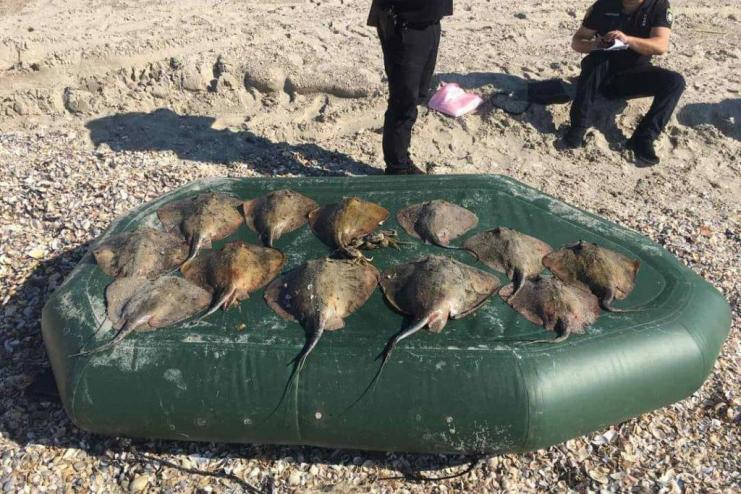 У нацпарку на Одещині браконьєри наловили морських скатів попри усі можливі заборони