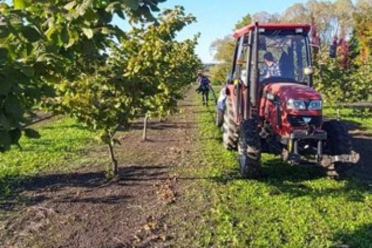 Працівників агросектору на рік бронюватимуть від мобілізації — міністр