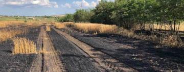 В Болградському районі горіло поле з пшеницею