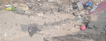 Загинули тварини, змило щойно відремонтовану дорогу: негода наробила великого лиха на Болградщині