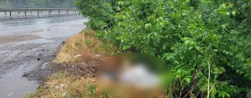 На трасі на Одещині виявили тіло вбитої жінки: підозру отримав далекобійник