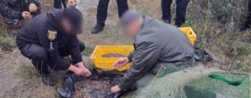 Браконьєр з Білгород-Дністровського району постане перед судом