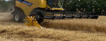 ОДЕЩИНА ЗІБРАЛА ПЕРШИЙ МІЛЬЙОН ТОНН ЗЕРНА