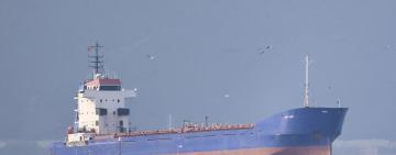 Україна затримала на Дунаї судно, яке до цього заходило до окупованого Криму — ЗМІ