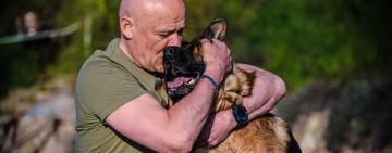 Мер Одеси дав доручення "жорстко реагувати" на експлуатацію тварин на вулицях та вилучати їх