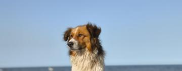 Приморське чекає: на Одещині офіційно відкрили ще один пляж