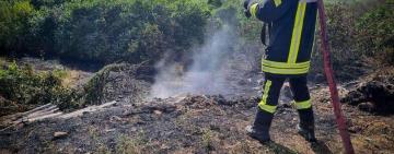 З початку літа в Одеському регіоні сталося понад 1650 пожеж, які знищили 800 гектарів української землі