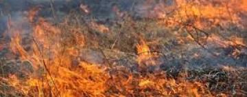 На Одещині під час гасіння сухої трави знайдено тіло старенької жінки 