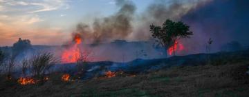 Одещина на межі катастрофи: 3010 пожеж з початку року знищили 1450 гектарів природи»