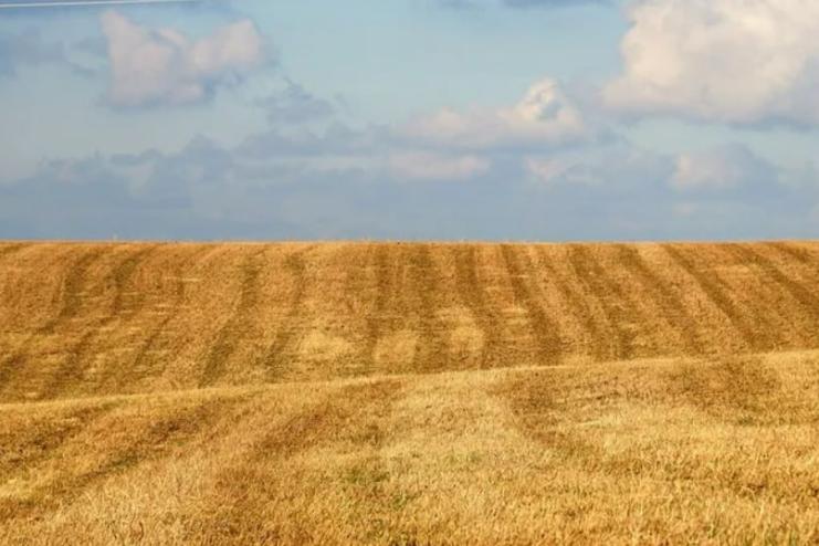 В Україні переписали ціни на землю: скільки коштує гектар