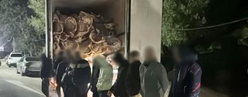 16 чоловіків у рефрижераторі: на Одещині організаторам незаконного перетину кордону повідомили про підозру