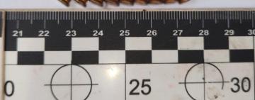 На Одещині поліцейські затримали чоловіка, який поранив з пістолета співмешканку