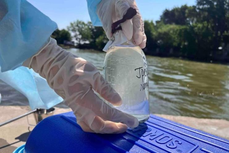 На Одещині перевірили якість морської води та визначили, на яких пляжах можна купатися