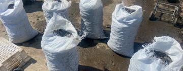 На Одещині прикордонники затримали браконьєрів із незаконним виловом мідій (відео)