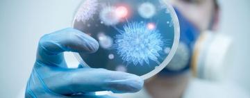 Епідемічна ситуація на Одещині: зниження рівня кишкових інфекцій, спалах COVID-19 та сказ серед тварин