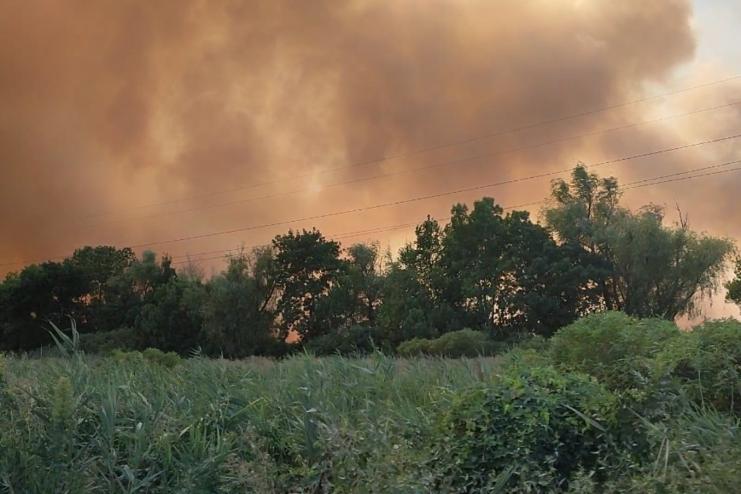 Біля села Маяки на території Нижньодністровського національного природного парку продовжує горіти очерет