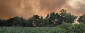 Біля села Маяки продовжує горіти очерет