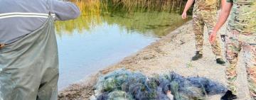 Незаконний вилов на Одещині: збитки державі на понад 128 тис. грн – правопорушнику загрожує кримінальна відповідальність