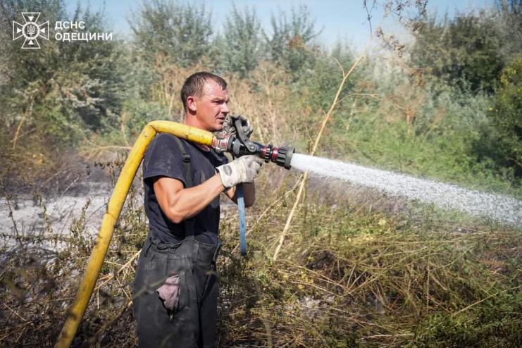 Пожежі на відкритих територіях та екосистемах продовжуються, - ДСНС