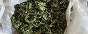 Поліцейські викрили жителя Роздільнянського району у розповсюджені наркотичних засобів