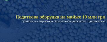 Директора агропідприємства на Одещині судитимуть за ухилення від сплати податків на майже 19 млн грн